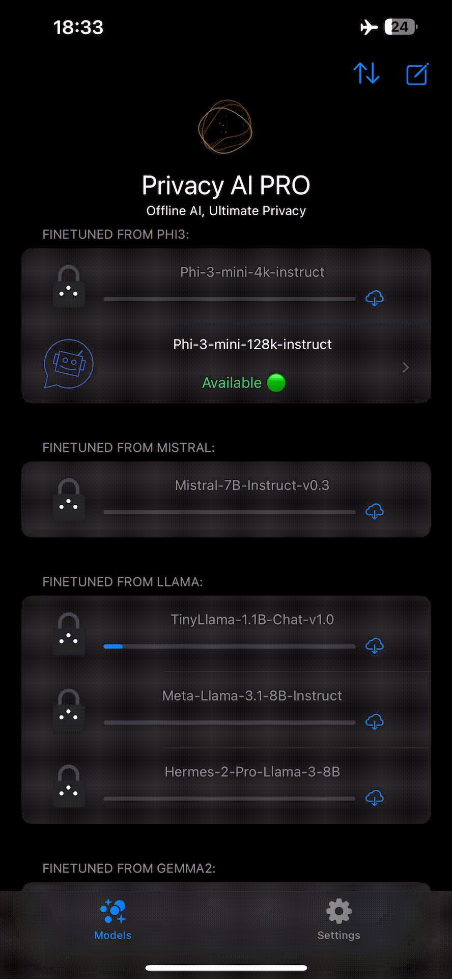 Privacy AI